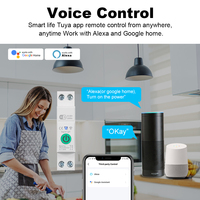 Disjoncteur intelligent Wi-Fi avec mesure 63A 1P sur rail DIN, contrôle à distance, module de minuterie pour maison connectée Smart Life Tuya App Alexa