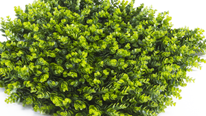 Panneau mural en gazon artificiel en plastique Factory IVY, <span class=keywords><strong>haies</strong></span> artificielles en buis, résistant à l'eau, durable pour les surfaces verticales - Product Image 4