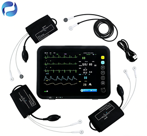 Moniteur de chevet Raytan pour chambre d'hôpital, dispositif médical vétérinaire pour surveillance obstétricale sur lit d'hôpital, certifié CE Classe II - Product Image 4