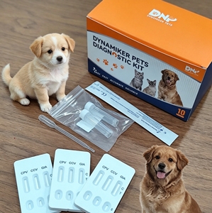 Kit de Prueba Rápida de Anticuerpos para Ehrlichia, Anaplasma y Babesia Canina, Diagnóstico de Enfermedades Transmisoras por Garrapatas en Perros, con Certificación CE - Product Image 4