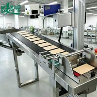 Marqueur laser UV automatique haute précision avec système d'alimentation anti-blocage pour films et sacs d'emballage plats