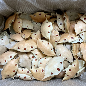 Cáscaras de Cangrejo Naturales Secas de Alta Calidad para Uso Alimentario en Restaurantes de Vietnam/Cáscaras de Cangrejo Completas y Limpias a Precio Económico para Exportación - Product Image 1