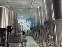 Équipement de brassage de bière miniature 500L, fournisseur d'équipements de brassage à domicile