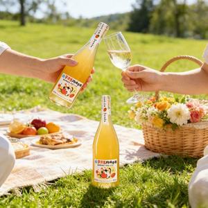 Liquore al Gin con Marmellata d'Arancia 15% ABV, Digestivo Morbido, Ricco e Rinfrescante, Bottiglia da 750ml, Vendita all'Ingrosso per l'Ospitalità - Product Image 4