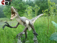 Cetnology Zigong : Modèles de dinosaures animatroniques en silicone les plus populaires, costumes de dinosaures personnalisés, dinosaures animatroniques