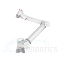 Brazo Robótico de Soldadura y Paletización Integrado Personalizado, Brazo Robótico Programable de 6 Ejes para Recoger y Colocar, Cobot Colaborativo con Motor PLC