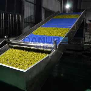 Séchoir à bande en maille pour lys, facile à utiliser, best-seller, équipement de séchage à air chaud pour le traitement des légumes - Product Image 5