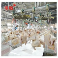 Machine d'abattage de poulet de caille de pigeon petite machine d'abattage de volaille usine ligne d'abattage de pigeon