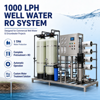 Système de purification d'eau par osmose inverse pour puits, 1000 LPH, sur châssis