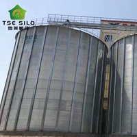 Büyük Ölçekli Düz Tabanlı Tahıl Depolama Silosu Oluklu Galvaniz Çelikten Tahıl Deposu ve Lojistik İçin 3000-20000 Ton