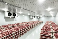 Koelopslag voor fruit- en groentehuisvesting, mobiel, draagbaar, Dubai, eieren, mobiele minikoelcel