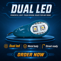 Lampe de rue LED extérieure à alimentation CA, double module, étanche IP66, pour rénovation de voirie et projets d'éclairage municipal