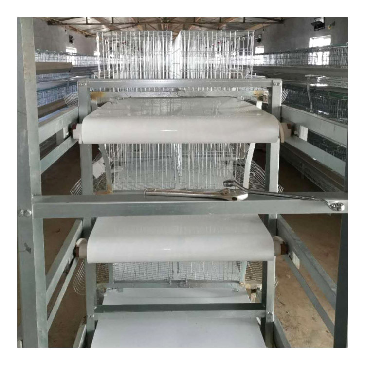 Manure Scraper Machine Poultry Farm Equipment