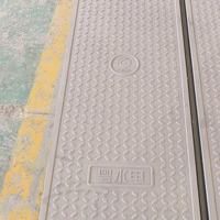 Couverture de regard en GFRP (fibre de verre renforcée par le plastique) pour les voies vertes, les trottoirs, les routes résidentielles, les routes urbaines, les ports, les terminaux de fret FT-M800SE