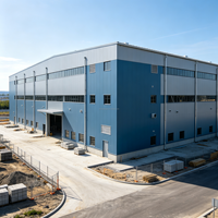 Kits de construction d'entrepôts en acier avec structure légère pour atelier de stockage, hangar, bâtiment industriel