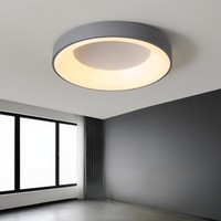 Plafonnier LED en fer forgé de style nordique, design moderne et minimaliste, gradation progressive à distance, indice de protection IP65, tailles 30-60 cm pour chambre à coucher