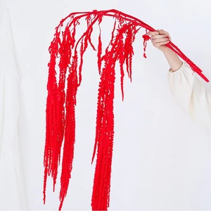 Tallos de <span class=keywords><strong>Amaranto</strong></span> Preservados al por Mayor, Flores de Borla Rojas/Moradas de Larga Duración, Decoración de Paredes, Centros de Mesa, 100 cm, Día de San Valentín - Product Image 6