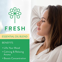 Ensemble à rouleaux d'huile essentielle de bien-être-Soulagement des maux de tête, booster d'humeur et meilleur sommeil avec des bouteilles à rouleaux de marque privée de 10ml