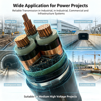 YJV22 8,7/15kV Stahlband-Armiertes Stromkabel XLPE-Isoliertes Kupferkabel für Unterirdische Direktverlegung