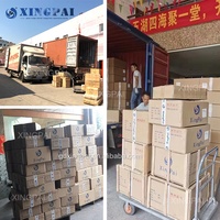 Offre Spéciale d'usine XINGPAI support logo personnalisé distributeur d'aliments secs double tête distributeur automatique de céréales moderne