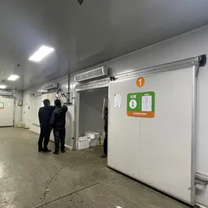Best Price Industrial Cold Room/ Commercial Cold Storage Room / Freezers Room For Meat And Vegetables
