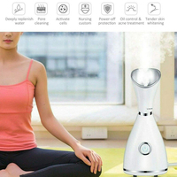 Vaporizador Facial Nano Iónico para Activar las Células de la Piel, Ideal para Salones de Belleza y Uso Doméstico