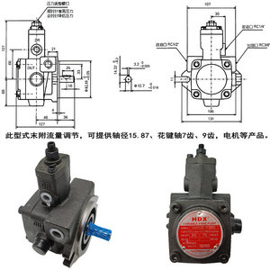 Bomba de paletas variables HDX HVPOE F20D F30D, bomba de aceite hidráulica para uso industrial - Product Image 3