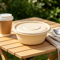Conteneur alimentaire jetable biodégradable de 750 ml en amidon de maïs, boîte à salade jetable, boîte carrée