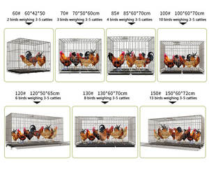 Fabrikant Groothandel Dierenkooien Opvouwbare Metalen Kippenhok voor Boerderijgebruik Conditie - Product Image 2