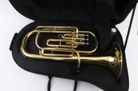 Hot Sale Colored Wind Instrument Euphonium with Golden Lacquer