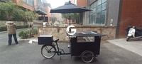 Tricycle électrique à assistance au pédalage 500w pas cher congélateur affaires Gelato vélo chariots à crème glacée vélo