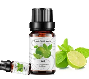 Brown Bottle 2020 Hot Selling OEM Organic Plant Natural Oil Lime Essential Oil Vaporization Humidifier Diffuser Oils