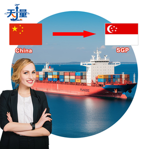 Transport maritime en vrac Chine-Singapour LCL+Express |   Bas prix |   Transit de 10 à 15 jours |   Assurance |   Transitaire chinois - Product Image 1