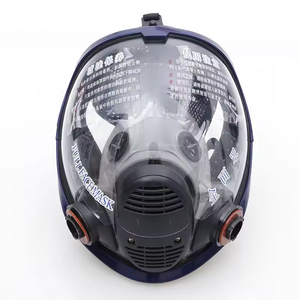 Maschera antigas di isolamento: con serbatoio di ossigeno rhzk 6.0l/30 - Product Image 2