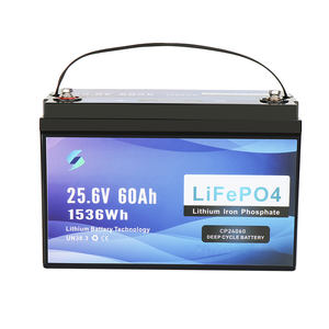 Lithium batterie Power Boden reinigungs maschine Lifepo4 Batterie 24v 60ah - Product Image 6