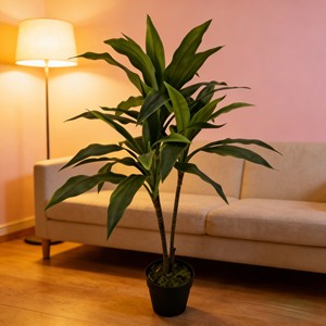 Árbol de Hierro de Sangre de Dragón de Simulación Bicolor Zhu Jiao para Decoración de Escenas de Hotel, Navidad y Graduación - Product Image 6