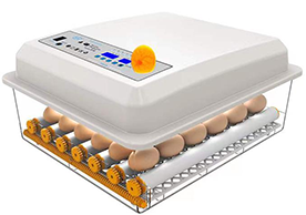 Lồng ấp 36 trứng tự động trứng lồng ấp trứng nở máy để bán với điện kép - Product Image 3