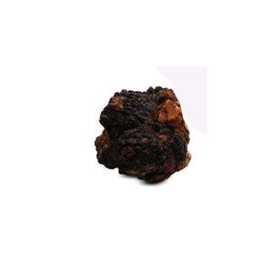 Kayu Birch Inonotus Obliquus jamur <span class=keywords><strong>Chaga</strong></span> pembekuan seluruh jamur <span class=keywords><strong>Chaga</strong></span> kering - Product Image 3
