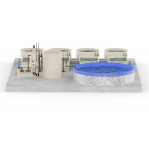 Di alta qualità prezzo di fabbrica RAs Tilapia ittico Farm fornitura RAS ricircolo sistema di acquacoltura Mini RAS - Product Image 4