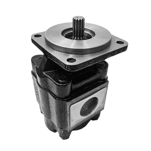 Pompe à engrenages hydraulique d'origine pour huile de transmission, séries P30, P31, P50, P51, P75, P76, P315, P330, P350, P365 - Product Image 4