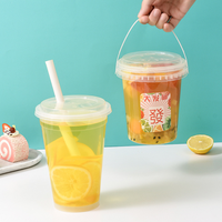 300ml 500ml 750ml 1000ml 1500ml 2000ml 2500ml 3000ml 4000ml 5000ml Seau à fruits avec couvercle, poignée et paille