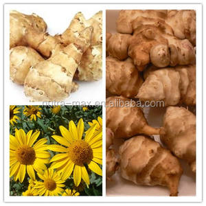 Sirop concentré d'Helianthus Tuberosus Sirop concentré d'artichaut de Jérusalem avec 60% 90% d'<span class=keywords><strong>Inuline</strong></span> - Product Image 3