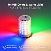 Ampoule LED RGB rechargeable avec base magnétique Type-C E27, télécommande tactile, 6000 mAh, pour lampe murale, lumière d'ambiance