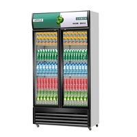 Vitrine commerciale à double porte de refroidisseur de supermarché à température unique avec porte en verre pour l'utilisation de bar et de magasin