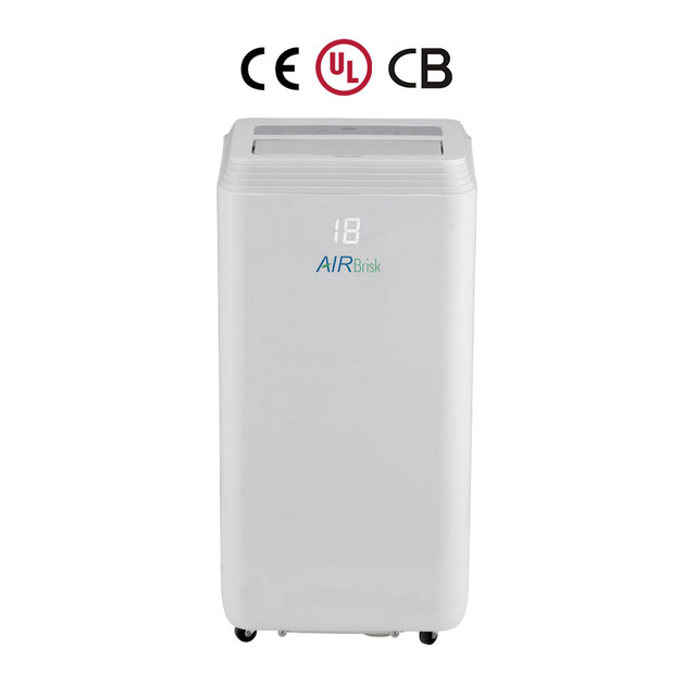 OEM ODM 12000 BTU R290 Refrigerant Energy Saving A++ Inverter Portable AC 1 Ton Portable AC Units for Home