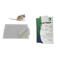 Piège à souris à la colle, parfum beurre de cacahuète, usage unique, pour rats et insectes, lutte contre les rongeurs, vente en gros, contrôle des nuisibles