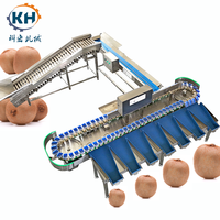 Universele automatische sorteermachine voor het verwerken van uien, knoflook, bosbessen & zeevruchten, gespecialiseerd in aardappelen