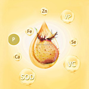 Gomitas OEM/ODM Premium de alta potencia, vitamina C rica en antioxidantes + soporta la absorción de hierro, suplementos alimenticios - Product Image 5