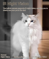 Distributeur automatique de nourriture pour animaux de compagnie avec minuterie, caméra HD intelligente, contrôle par application Tuya, accessoires pour animaux de compagnie en gros, distributeur de nourriture pour chats intelligent