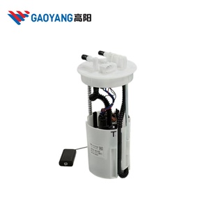 GAOYANG Fabrik Großhandel Elektrische Kraftstoffpumpen-Baugruppe OE A13-1106610 für <span class=keywords><strong>MVM315</strong></span> - Product Image 1